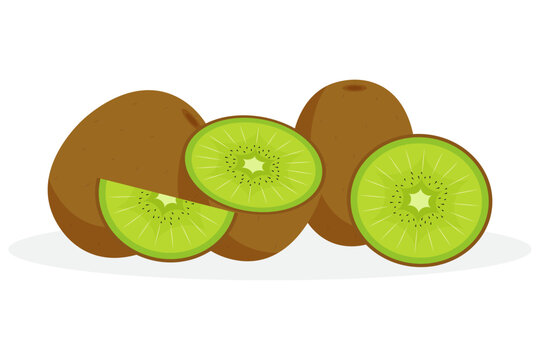 kiwi fruit, brown and green, flat design clip art preview