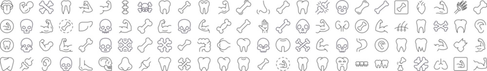 Internal Organs, Teeth and Bones Related Line Icons for Web Sites, Books, Cards, Apps. Editable Stroke. Suitable for Web Sites, Books, Cards, Apps