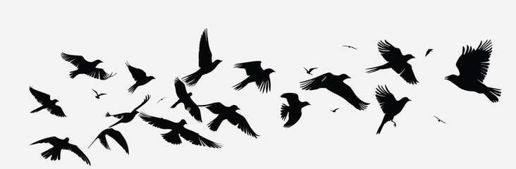 Obraz premium Silhouettes of birds in flight against a white sky, showcasing freedom and movement.