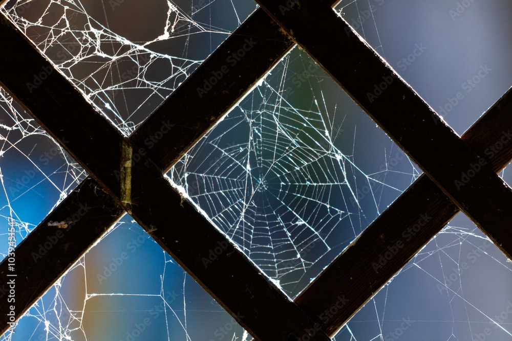 Sticker a spider web is seen through a window, with the web itself being torn apart