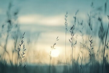 Obraz premium Tall grasses in focus against a soft blue sky, sunset in the distance, blurred background symbolizing nature’s beauty and freedom
