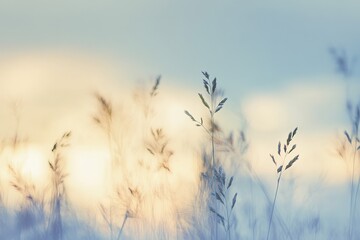 Obraz premium Tall grasses in focus against a soft blue sky, sunset in the distance, blurred background symbolizing nature’s beauty and freedom