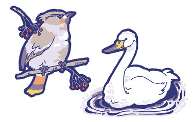 冬の野鳥のイラスト