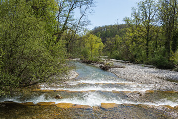 Obraz premium l'Alondon juste avant de rejoindre le Rhône, 