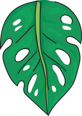 Green leaf design. Vector illustration.