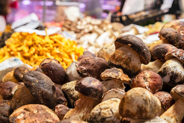 Fresh Boletus mushrooms displayed at food market stall