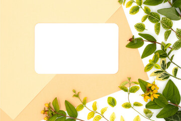 Plants, grass and flowers, white business card or postcard with copy space on light pastel background