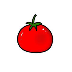 Red tomato on transparent background. Organic, healthy food illustration. 