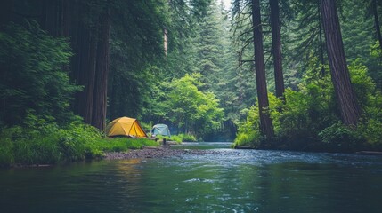 A rustic camping scene by a remote forest river, Tents nestled under towering redwoods, Forest retreat style