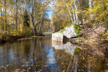 Fototapeta premium autumn landscape with beautiful gray Vizla Big Stone, Zaklu Big Stone or Vizla Big Boulder in wild river, Vidaga, Latvia