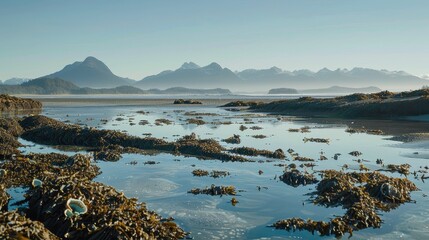 Serene Coastline at Low Tide with Scenic Mountains