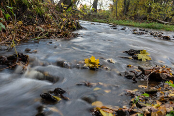 fast river between stones, stream of water passes the stone, ecology in the river, beautiful natural environment as background, blurred stream of water