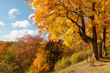 gorgeous autumn landscape with bright and colorful trees, typical Latvian golden autumn landscape