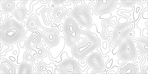 Abstract background with topographic map white background. The stylized height of the topographic map contour in black lines. gradient multicolor wave curve lines banner background design.