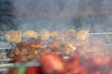 shish (skewered) kebap on the grill