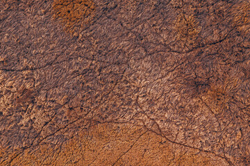 Animal runways in dead dry meadow grass seen from drone pov, aerial shot