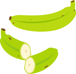 緑色のプランテン © logistock