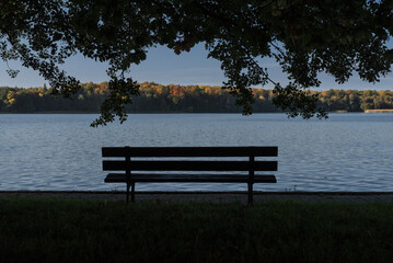 AUTUMN LANDSACAPE - A bench in park by lake under colorful leaves on a sunny day
