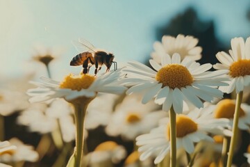 A bee buzzing around a group of daisies on a windy summer day. The flowers sway with the breeze, while the bee remains focused on gathering pollen, creating a dynamic yet calm natural scene.