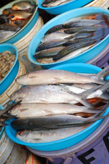 fresh fish in a market
