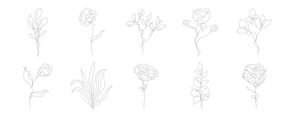 Monoline Drawing Flowers Set