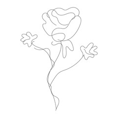 Monoline Drawing Flowers