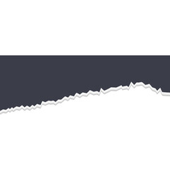 Torn Ripped Paper Sheets