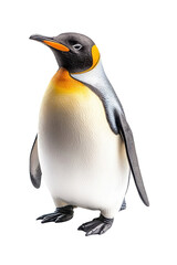 A penguin standing tall, isolate on white background, with its black and white feathers sleek and shiny. cutout png