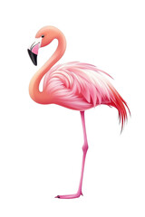 Fototapeta premium A flat style illustrated flamingo, isolate on white background, with minimalistic shapes and details. cutout png