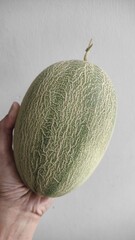 melon on white background
