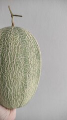 melon on white background
