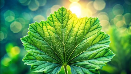 A Detailed Green Leaf Illuminated by a Sunbeam, showcasing its intricate vein network and a bokeh background.