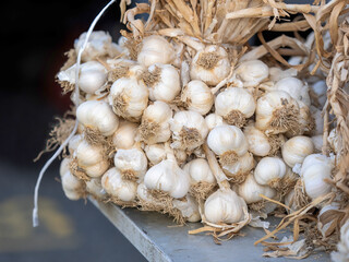 White garlic pile texture. Fresh garlic on market table closeup photo. Vitamin healthy food spice image. Spicy cooking ingredient picture. Pile of white garlic heads. White garlic head heap top view