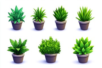 Collection of various indoor plants in modern pots arranged in a row against a white background showcasing different shades of green and textures in contemporary home decor