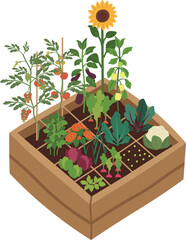 Raised bed garden vector illustration. Square feet garden with several vegetables growing inside.