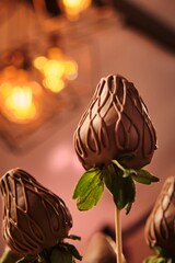 Chocolate-Covered Strawberry on a Stick in Cozy Lighting