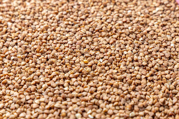 Buckwheat Grains on Plate on Wooden Background, Top View, Copy Space.Hulled kernels of buckwheat grains close up. Food background.