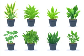 Obraz premium Collection of lush green potted plants arranged in sleek modern planters set against a plain white background showcasing diverse foliage textures and shades of vibrant green