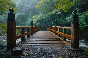 pathway and a wooden bridge in the middle of a forest