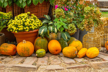 Pumpkins and potted plants on a stone floor.