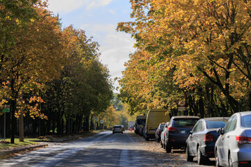 Wide road, highway, sun and blue sky on a summer day.