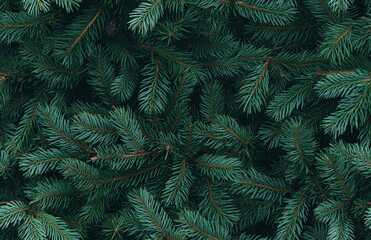 Seamless green background of Christmas fir tree branches, festive New Year pattern