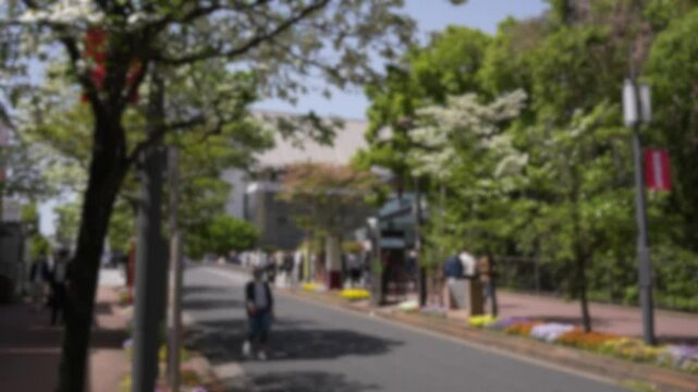 Blurred defocused view of Japanese people walk along the streets, the spring time as the Florida dogwood trees along the avenue burst into full bloom, creating a floral tapestry in the city avenue