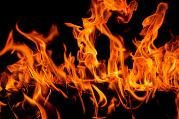 Fire and flames for background. Bright flames background. Texture of fire on a black background....