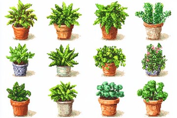 Fototapeta premium Collection of potted houseplants in terracotta pots perfect for indoor gardening small space decor and plant care guides