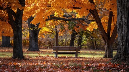 Serene Park with Towering Oaks and Autumn Colors