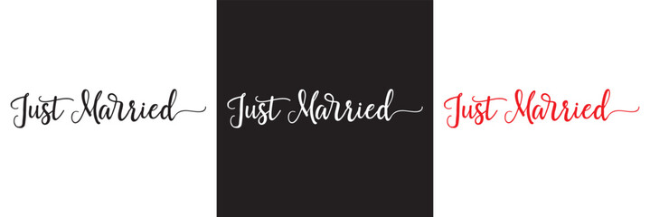 Just married lettering calligraphy.  Vector illustration isolated on white and black background. EPs 10