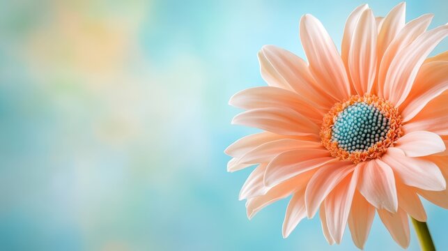  A tight shot of a pink blossom, featuring a blue core, against a backdrop of blue and green Background includes a hazy sky