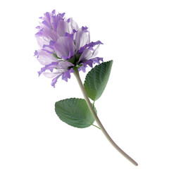 Bakuchiol flower 3D render on white background for skincare products.