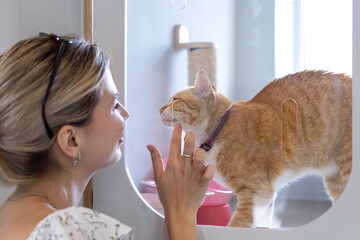 Caucasian woman visiting pet shelter looking for adopting cat while meeting and getting...